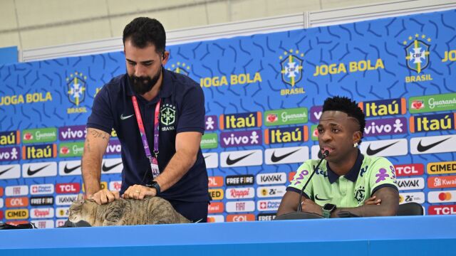 Kot przerwał konferencję Brazylijczyków. Reakcja rzecznika nie wszystkim się spodobała