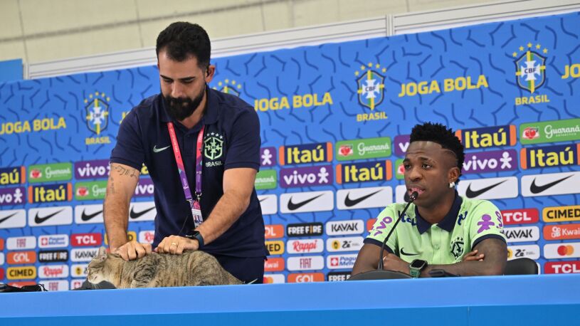 Kot przerwał konferencję Brazylijczyków. Reakcja rzecznika nie spodobała się 