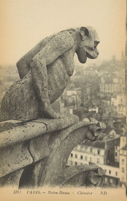 Notre-Dame. Zakład Fotograficzny &quot;Bracia Neurdein&quot; (Paryż) 1906.