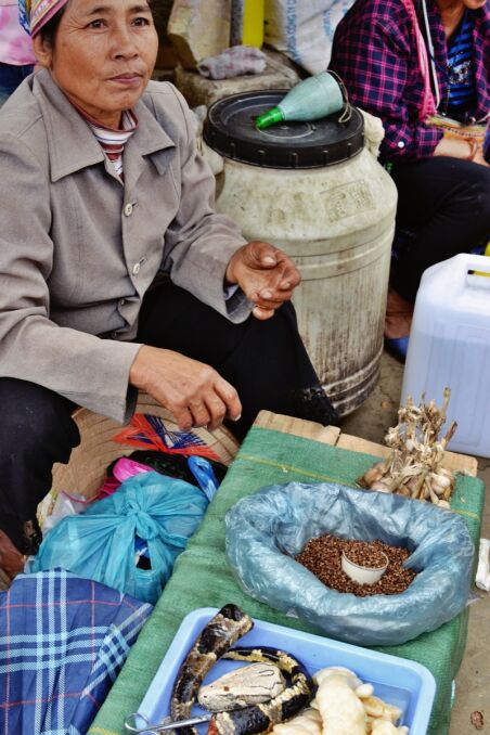 Wąż na dolegliwości żołądkowe sprzedawany na targu w wietnamskim Bac Ha
