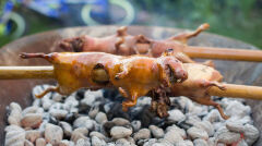 Szaszłyki ze świnki morskiej. Potrawa popularna w krajach andyjskich