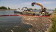 Trwa odławianie martwych ryb z Odry. Przyczyna zanieczyszczenia wciąż nieznana
