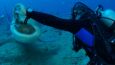 Nurkowanie w pobliżu rekinów? Taką atrakcję oferują przewodnicy na Kubie